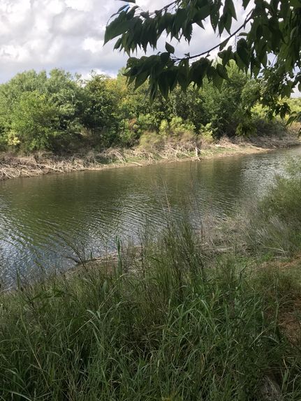 Timberland Property in Bandera County, Texas
