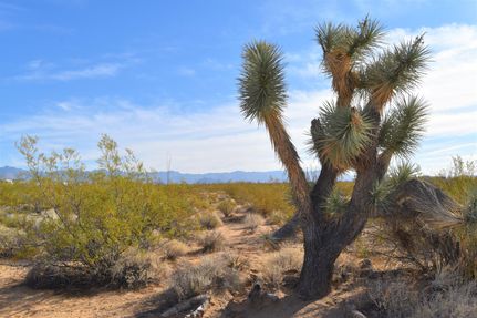 Land in Mohave County, Arizona