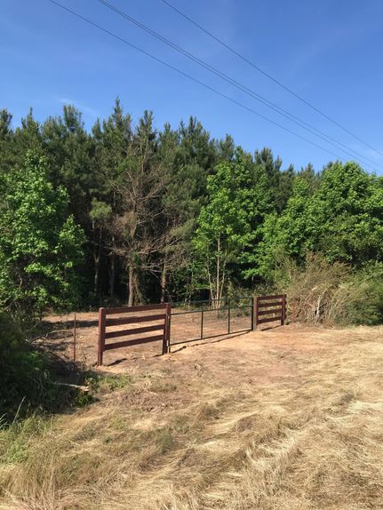 Timberland Property in Cass County, Texas