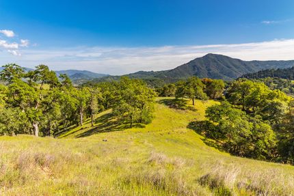 Timberland Property in Mendocino County, California