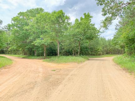 Undeveloped Land in Tyler County, Texas