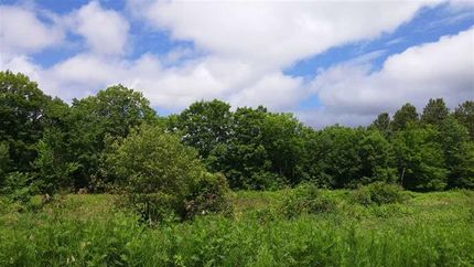 Timberland Property in Alger County, Michigan