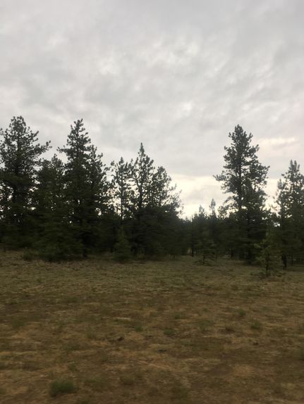 Undeveloped Land in Park County, Colorado