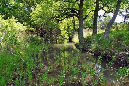 Farm and Ranch in Burnet County, Texas