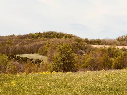 Recreational Property in Vernon County, Wisconsin
