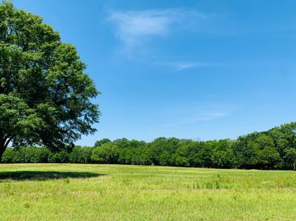 Recreational Property in Mobile County, Alabama
