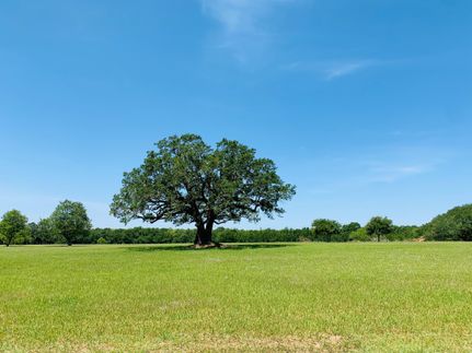 Farm and Ranch in Mobile County, Alabama