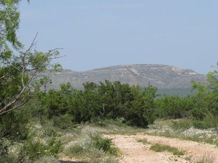 Hunting Property in Coke County, Texas