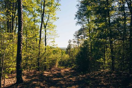 Land in Gilmer County, Georgia