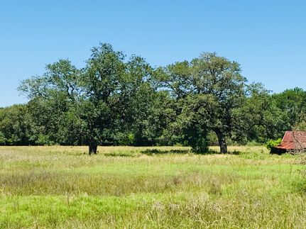 Hunting Property in Colorado County, Texas