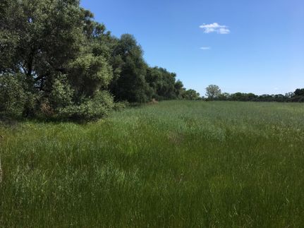 Timberland Property in Yolo County, California