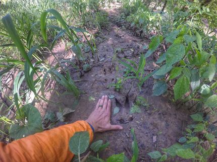 Farm and Ranch in Breathitt County, Kentucky