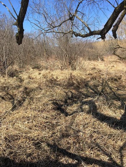 Recreational Property in Trempealeau County, Wisconsin