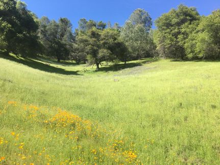 Farm and Ranch in Amador County, California