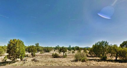 Undeveloped Land in Navajo County, Arizona