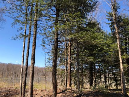 Commercial Property in Oswego County, New York