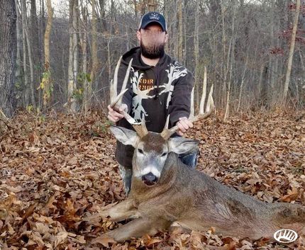 Land in Massac County, Illinois