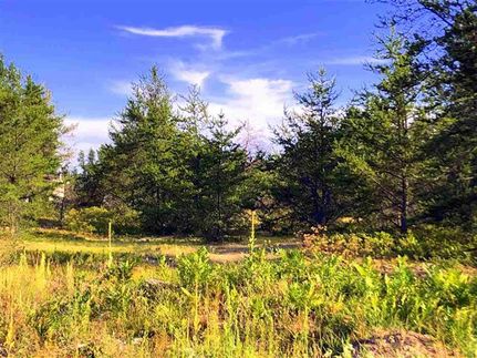 Homesite in Marquette County, Michigan