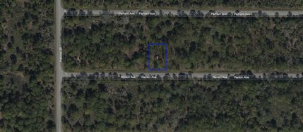 Undeveloped Land in Charlotte County, Florida