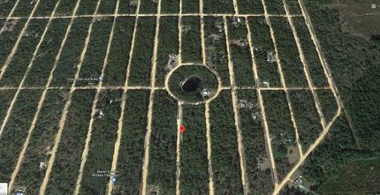 Undeveloped Land in Putnam County, Florida