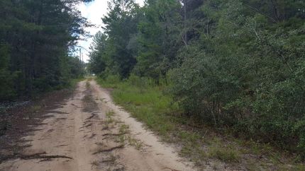 Recreational Property in Putnam County, Florida