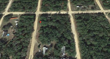 Undeveloped Land in Putnam County, Florida