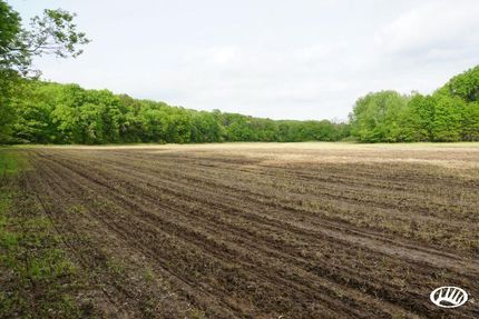 Timberland Property in Shelby County, Missouri
