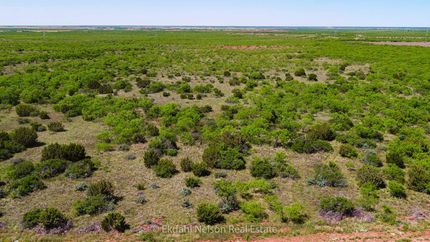 Farm and Ranch in Taylor County, Texas