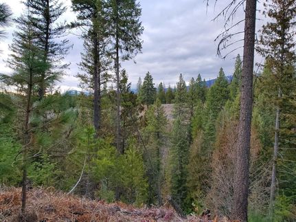 Undeveloped Land in Lincoln County, Montana