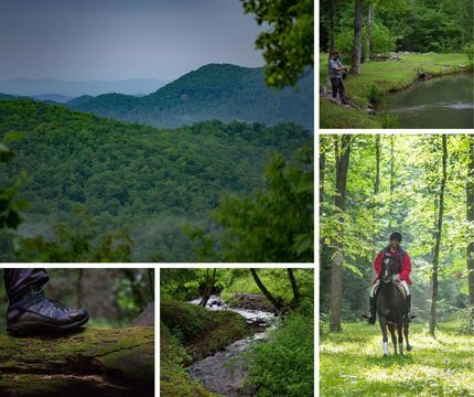 Farm and Ranch in Buncombe County, North Carolina