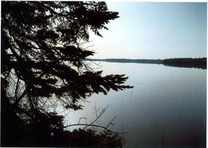 Waterfront Property in Hubbard County, Minnesota