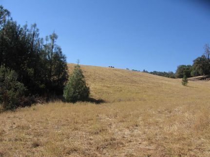 House in Tuolumne County, California