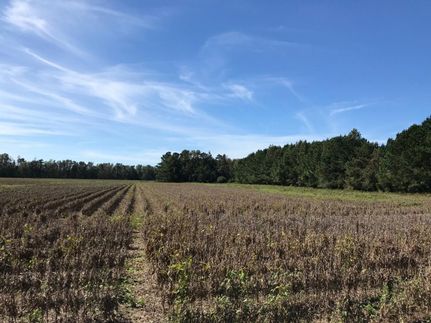 Farm and Ranch in Williamsburg County, South Carolina