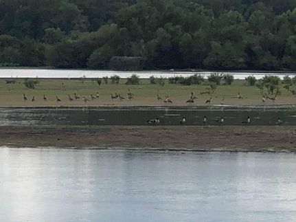 Farm and Ranch in Decatur County, Tennessee