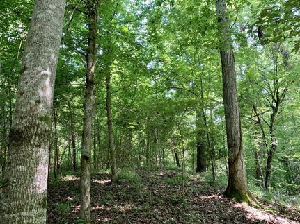 Land in Choctaw County, Alabama
