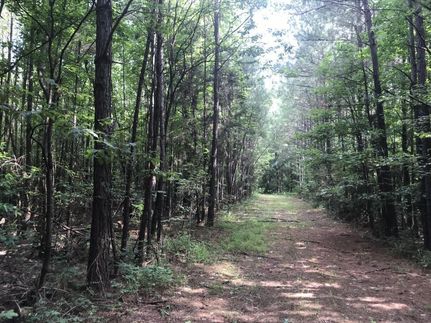 Land in Chickasaw County, Mississippi