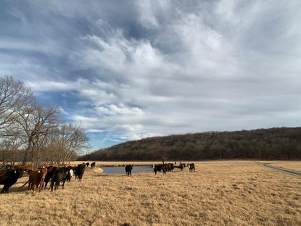 Timberland Property in Washington County, Oklahoma