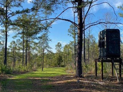 Farm and Ranch in Chilton County, Alabama