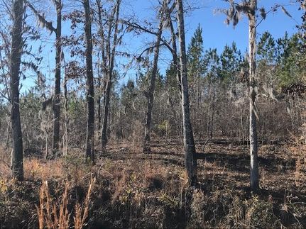 Land in Clarendon County, South Carolina