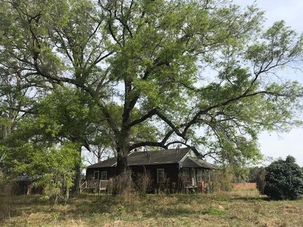 House in Williamsburg County, South Carolina