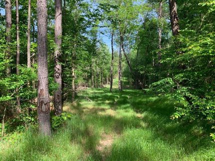 Timberland Property in Neshoba County, Mississippi