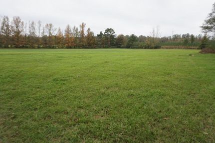 Timberland Property in Perry County, Alabama