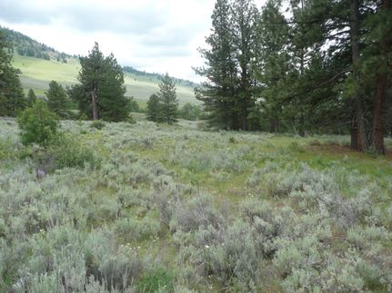 Land in Okanogan County, Washington