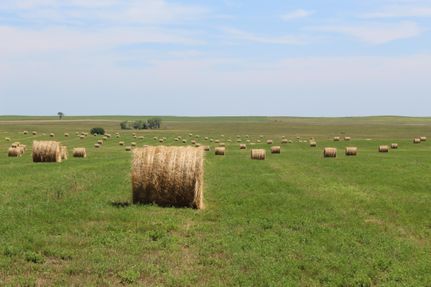 Farm and Ranch in Dewey County, South Dakota