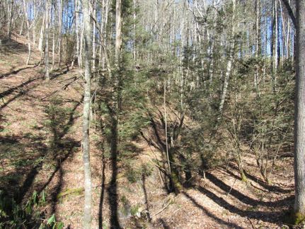Farm and Ranch in Carroll County, Virginia