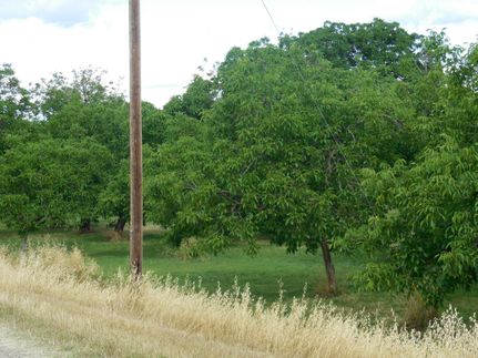 Timberland Property in Sutter County, California