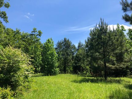 Timberland Property in Talbot County, Georgia