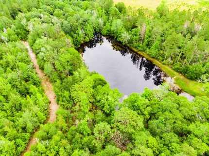 Farm and Ranch in Holmes County, Florida