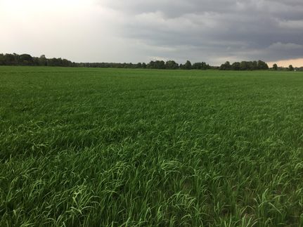 Undeveloped Land in Monroe County, Arkansas