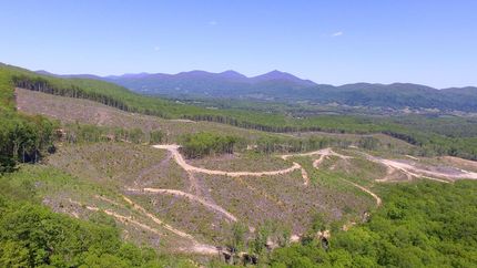 Farm and Ranch in Bedford County, Virginia